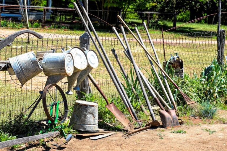 Discover the Best Garden Tools for Every Plant Lover