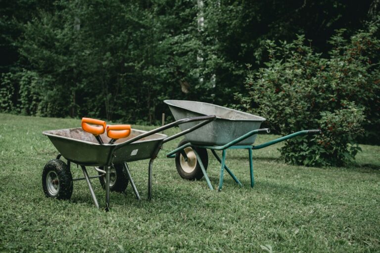Five Must-Have Tools for Successful Home Gardening Projects