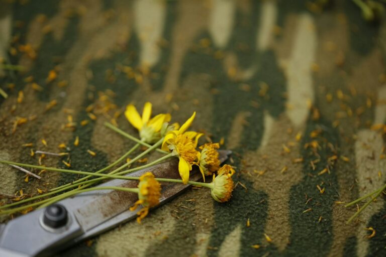 Maximize Your Gardening Efficiency with These Essential Tools