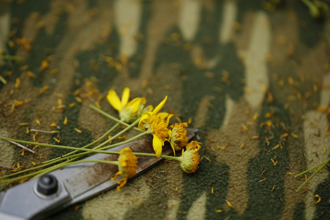 blog_7