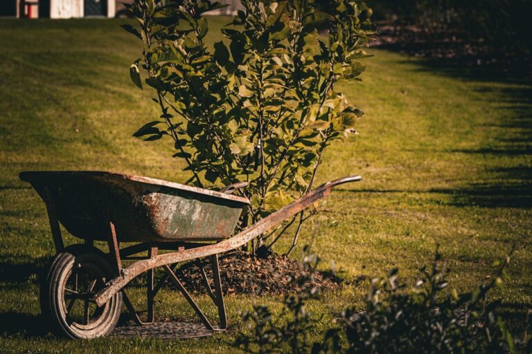 Seasonal Gardening: The Tools You Need All Year Round